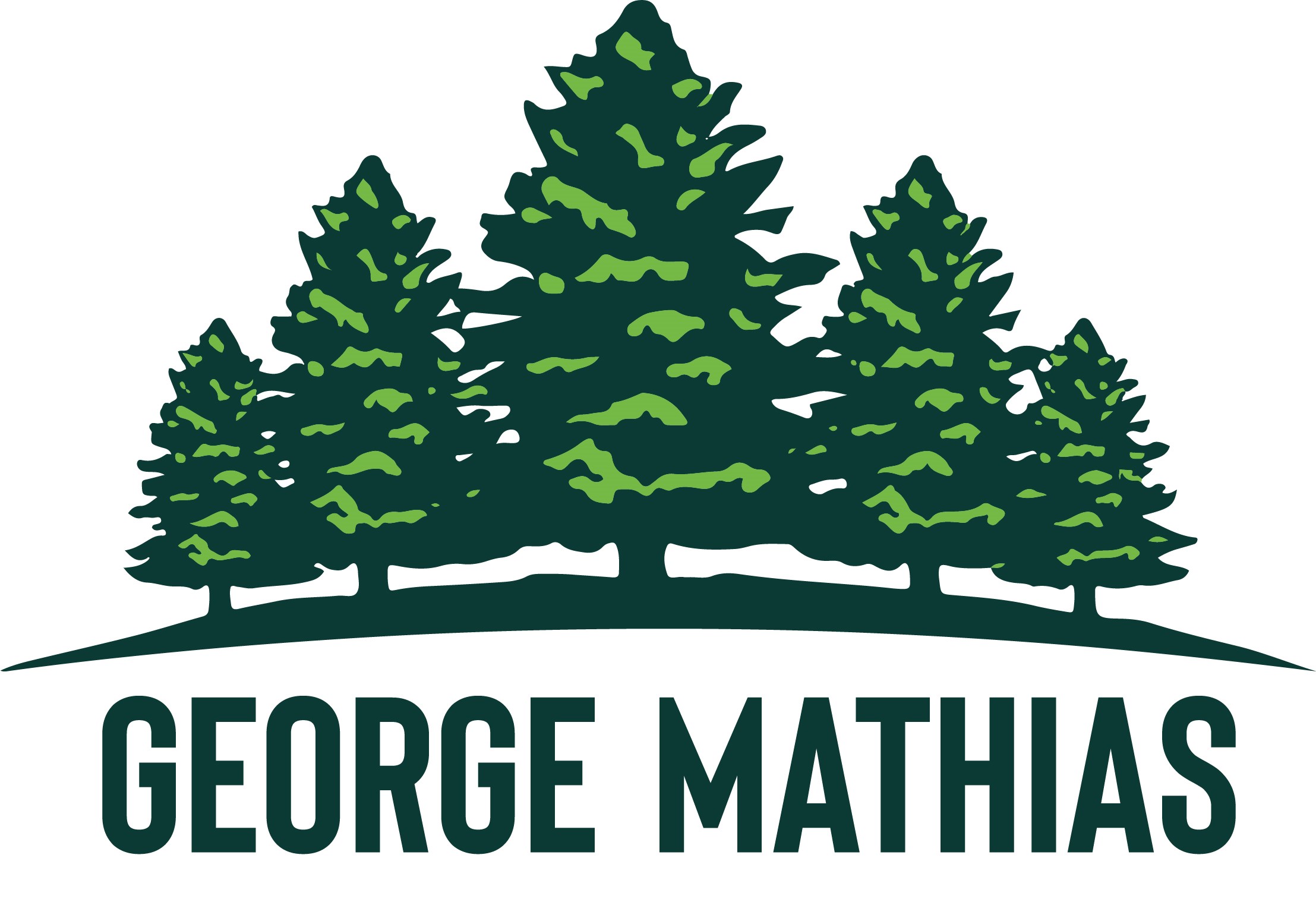 George Mathias Parcs et jardins - Travaux forestiers